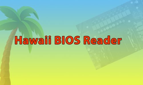 Hawaii BIOS Reader